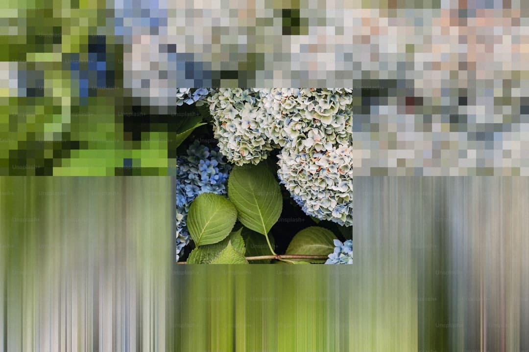 勒布朗·詹姆斯宣告暂时退网 反对网络负面环境